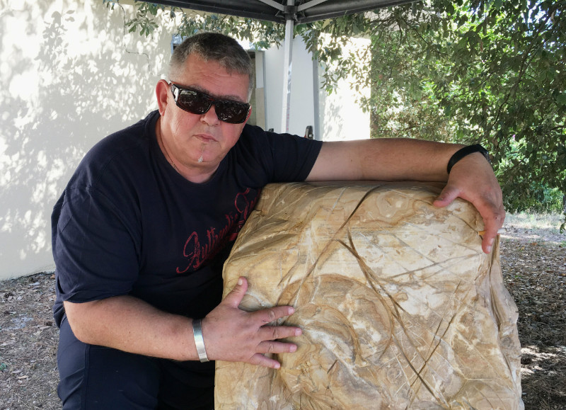 Lucian Christian Hamsea - Fine Artist